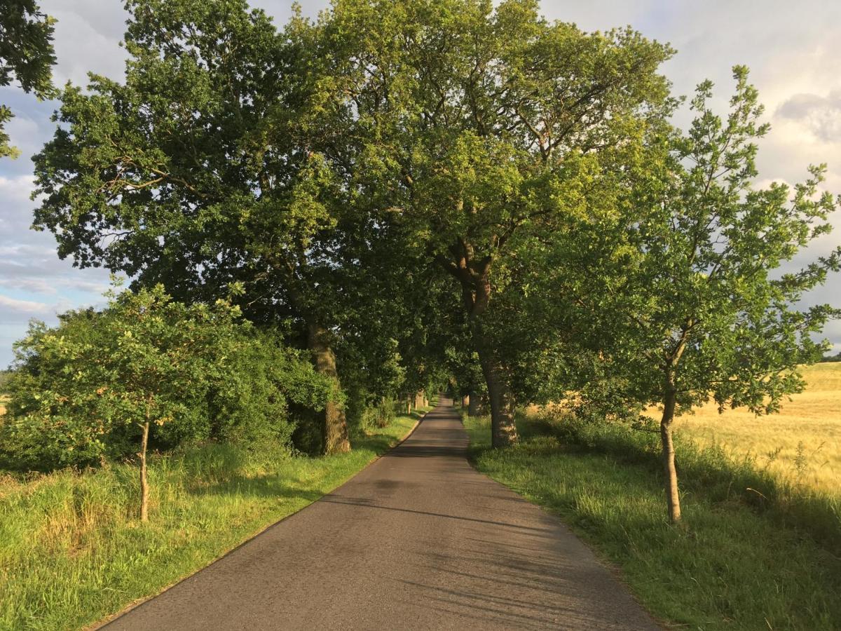 Dat Witte Hus Moritzdorf Ruegen Ferienwohnungen - Ruhige Lage Exteriér fotografie