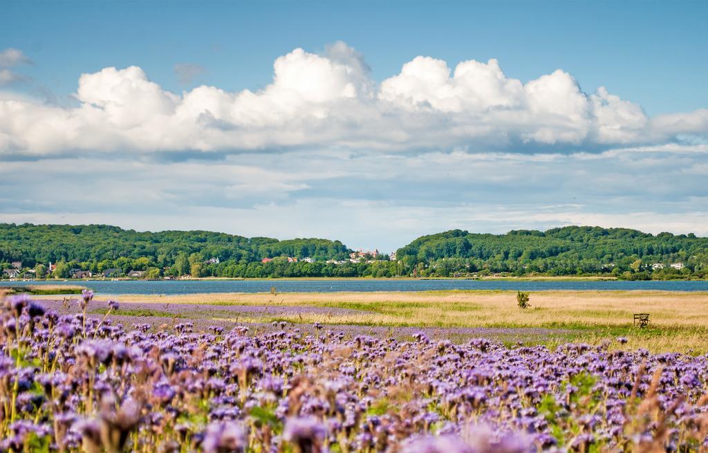 Dat Witte Hus Moritzdorf Ruegen Ferienwohnungen - Ruhige Lage Exteriér fotografie