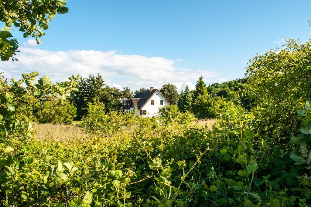 Dat Witte Hus Moritzdorf Ruegen Ferienwohnungen - Ruhige Lage Exteriér fotografie